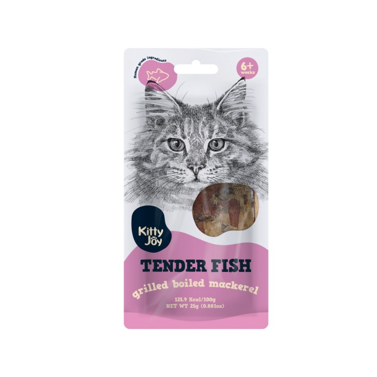 Kitty fish outlet