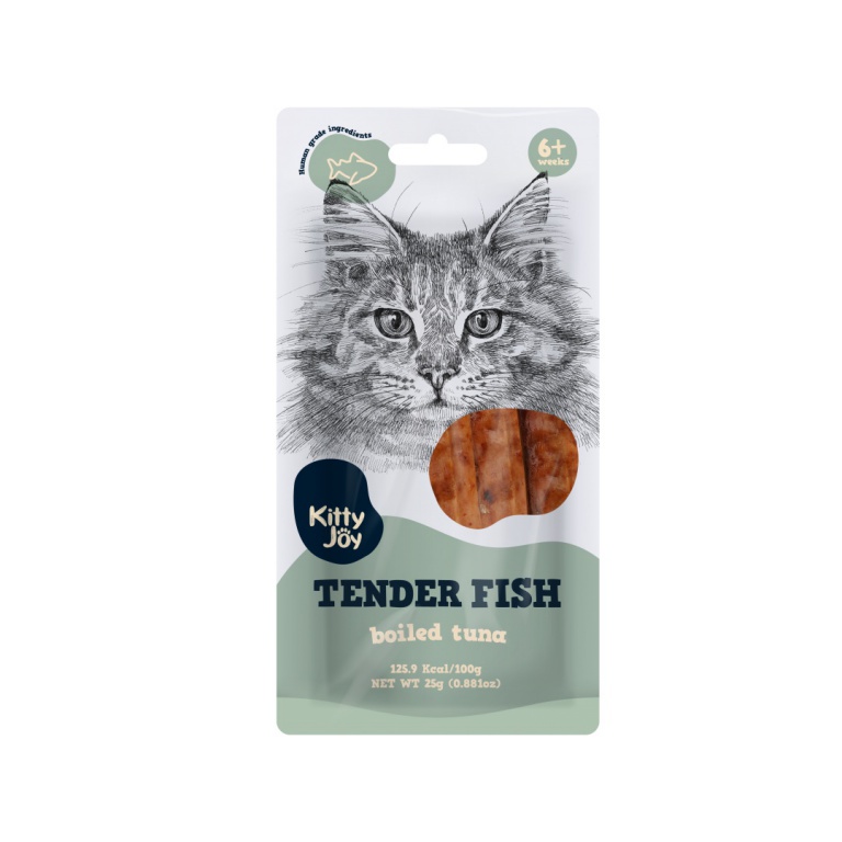 Kitty cat and the fish online